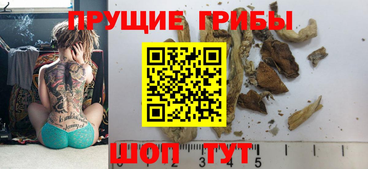 Псилоцибиновые грибы Magic Shrooms Алексин