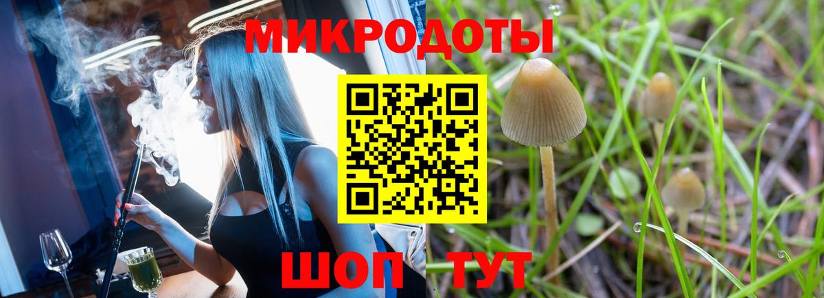 Псилоцибиновые грибы GOLDEN TEACHER  Вход с VPN  Алексин  Галлюциногенные грибы Psilocybine cubensis 
